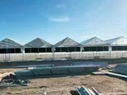 Polycarbonate Sheet Greenhouse