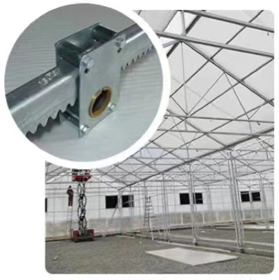 Galvanized Steel Polycarbonate Greenhouse