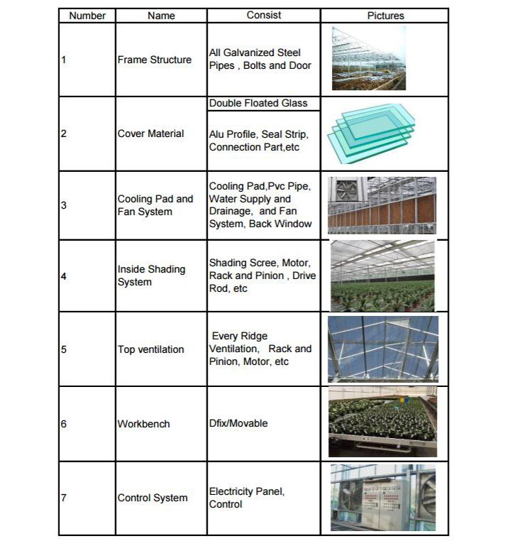 Venlo Floated Glass Greenhouse for Agriculture from China Factory