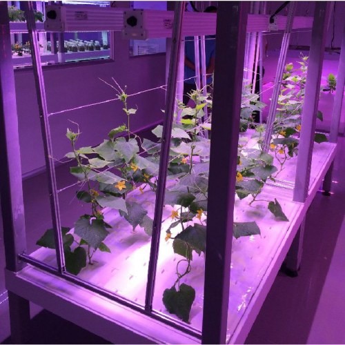 Grow Containers