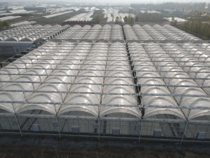 Polycarbonate Sheet Greenhouses