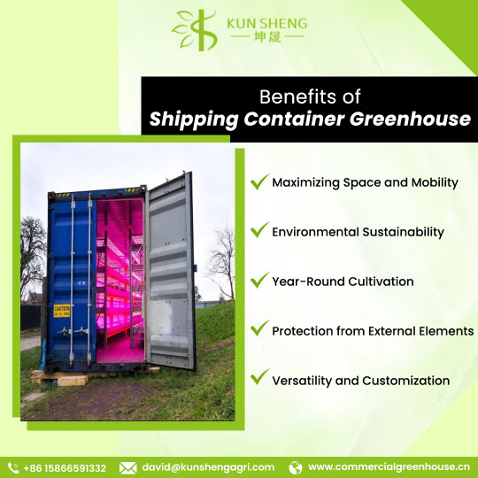 Vertical Greenhouses