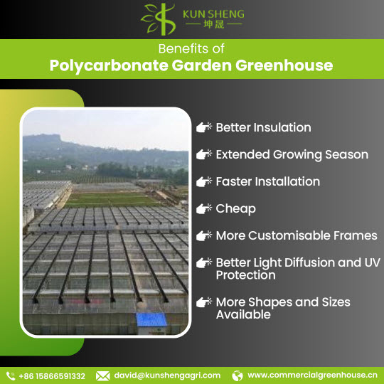 Polycarbonate Garden Greenhouse