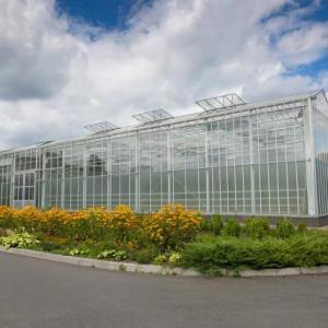 Affordable and Accessible Greenhouse Solutions by Kunsheng Agriculture Affordable and Accessible Greenhouse Solutions by Kunsheng Agriculture