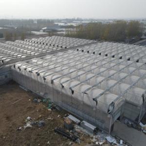 Benefits of a Plastic Film Tunnel Greenhouse Benefits of a Plastic Film Tunnel Greenhouse