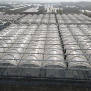 A Beginner's Guide to Building a Polycarbonate Sheet Greenhouse A Beginner's Guide to Building a Polycarbonate Sheet Greenhouse