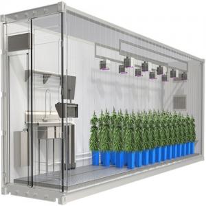 The Benefits of Growing Vegetables in Container Greenhouses The Benefits of Growing Vegetables in Container Greenhouses