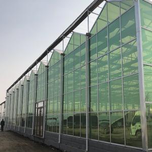 Polycarbonate Sheet Greenhouse Vs. Traditional Glass Greenhouse Polycarbonate Sheet Greenhouse Vs. Traditional Glass Greenhouse