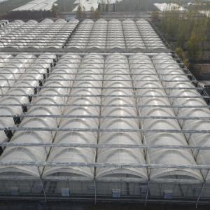 Finding the Perfect Greenhouse Cover: Balancing Transparency, Thickness, and Durability  Finding the Perfect Greenhouse Cover: Balancing Transparency, Thickness, and Durability