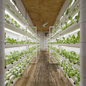 Year-Round Cultivation with Hydroponic Shipping Containers Year-Round Cultivation with Hydroponic Shipping Containers