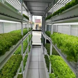 Grow Vegetables in Shipping Containers Grow Vegetables in Shipping Containers