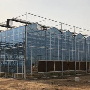 Reduction in Water Usage and Environmental Impact for Commercial Greenhouses in Qatar Reduction in Water Usage and Environmental Impact for Commercial Greenhouses in Qatar
