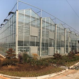 Technological Innovations in Commercial Greenhouse Farming in the UAE Technological Innovations in Commercial Greenhouse Farming in the UAE