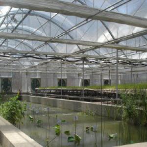 Exploring Israel's Agricultural Technology: Commercial Greenhouses Leading the Way