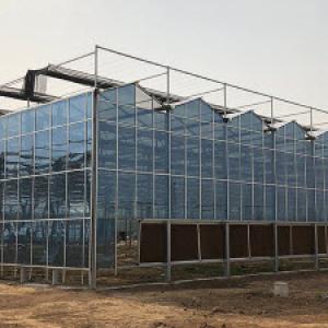 Agricultural Development in Yemen Agricultural Development in Yemen
