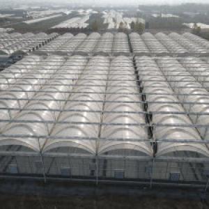 Automation and Technology in Turkish Commercial Greenhouses Automation and Technology in Turkish Commercial Greenhouses