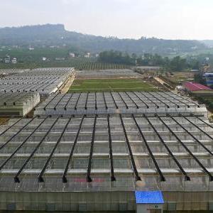 Galvanized Steel vs. Traditional Greenhouse Materials: A Comparative Study Galvanized Steel vs. Traditional Greenhouse Materials: A Comparative Study