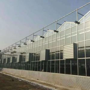 What is an Intelligent Greenhouse? How Does It Differ from Traditional Greenhouses? What is an Intelligent Greenhouse? How Does It Differ from Traditional Greenhouses?
