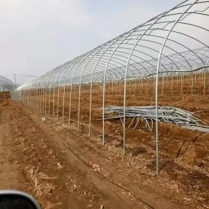 High-Quality & Cost-Effective Option for New Growers: Inserted Ground Arch Greenhouses High-Quality & Cost-Effective Option for New Growers: Inserted Ground Arch Greenhouses