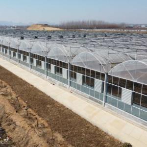 Design Scheme of Energy-Saving and Heat-Preserving Multi-Span Greenhouse Design Scheme of Energy-Saving and Heat-Preserving Multi-Span Greenhouse