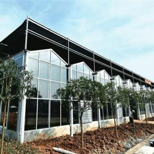 Service Life of Greenhouse Glass: Influencing Factors and Extension Strategies