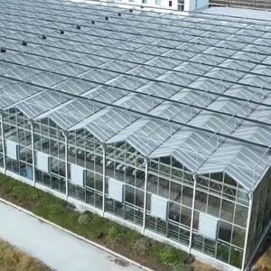 Decoding High-End Dutch Glass Greenhouses: Core Design Logic and Advantages in Construction