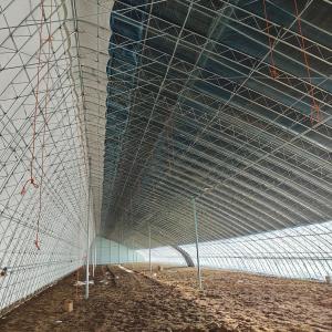 Hoop House (Cold Frame / Spring & Autumn Greenhouse): An Essential Guide