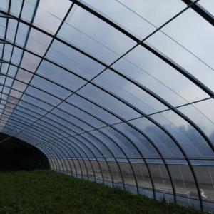 Protect Vegetables from Frost: Practical Greenhouse Insulation & Yield Maintenance Guide