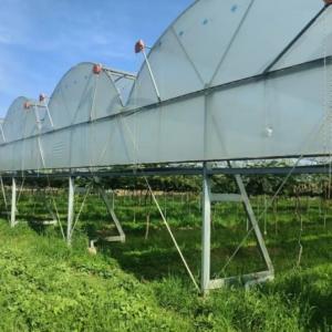 Custom Fruit Tree Rain Shelters | Full-Cycle Services to Boost Orchard Yield and Quality