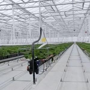 What is the best time to use a greenhouse drip irrigation system?