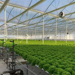 Greenhouse Seedbed System: Key Features to Choose the Right One