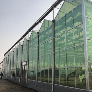 Venlo Floated Glass Greenhouse for Agriculture from China Factory
