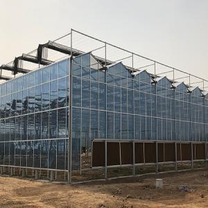 Glass Greenhouses Equipment for Fruits and Vegetables at Best Price