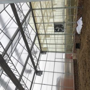 Multi-Span Galvanized Steel Polycarbonate Greenhouse 
