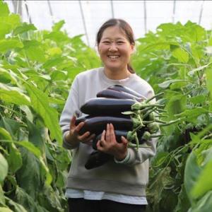 Energy Efficient Greenhouse