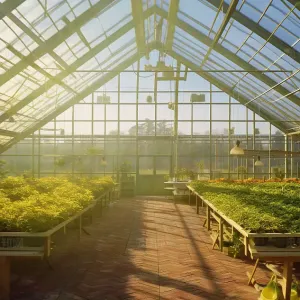 Glass greenhouse for viewing purposes