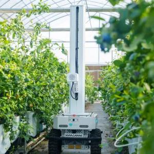 Intelligent Greenhouse Irrigation Robot