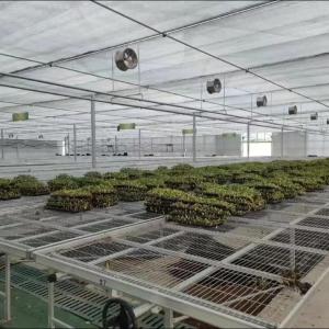 Movable Nursery Bench