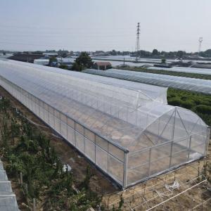 Multi-chapel greenhouse from china