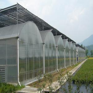 Multi-span Film Greenhouse