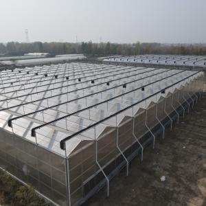 Polycarbonate panels intelligent greenhouses for export to the United States