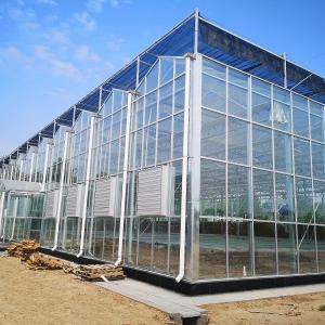 Smart Glass Greenhouse